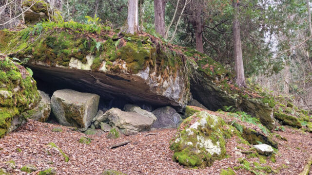 Bruce’s Caves Conservation Area.