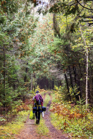 Bruce Trail via Crane Lake trail heading north towards High Dump backcountry campsite.
